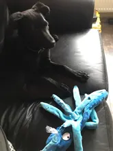 Dog-Squeaky-Toy Octopus Sounding-Paper Dogs French-Bulldog Interactive Plush Large Small