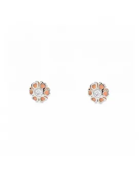 Earrings Girl Hearts bicolor rose matte luster center circon (9kts)
Earrings Girl Hearts bicolor rose matte luster center circon (9kts)