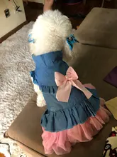 Vestidos vaqueros de encaje para perros pequeños, vestido de fiesta de verano para cachorros, princesa Pomeranian, tutú, Shih Tzu, mascota Yorkshire