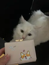 Purses Wallets Clutch Short Corgi Doge Small Cartoon Ladies Cute Portefeuille