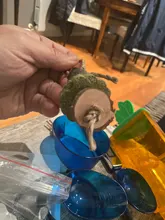 Toy Hamster Wood-Grass Teeth-Grinding Rabbit Chew-Toy Pet-Supplies Pet-Molar Parrot Apple