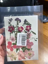 1 paquete Real secada de La Flor seca de las plantas para bricolaje molde Molde de resina rellenos de resina colgante collar joyería de uñas de arte UV Expoxy flor