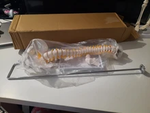 Modelo anatómico para enseñanza médica columna Vertebral humana Flexible, curva Lumbar, columna Vertebral, 45cm, novedad de 2019