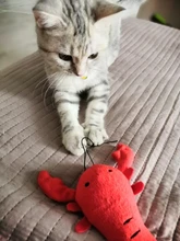 1pc peluche perro hueso juguetes mordedura-resistente limpia perro masticar cachorro juguete de entrenamiento de Banana y zanahoria vegetal, suministros para mascotas