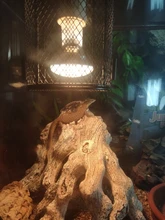 Reptile Heater Guard Heating Bulb Lamp Enclosure Cage Protector Metal Mesh Lamp Cover