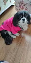 Ropa de dos patas para mascotas, abrigo cálido de lana con dibujos animados para perros y gatos, con orejas grandes, Otoño e Invierno