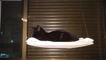 Hammock Hanging-Beds Pet Window Cute Bearing Sunny-Seat Cat Comfortable Soft 20kg Pet-Shelf