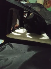 Backpack Carriers-Bag Transport-Bag Travel Airline-Approved Pet-Dog Cats Breathable