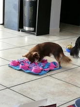 Toy Dog-Toys Puppy Pet-Food-Dispenser Dog-Puzzle Interactive Slow-Feeding with Non-Slip-Back