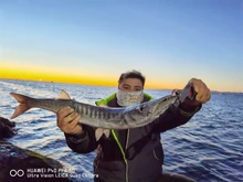 Rompin-Anillos ovalados de división ovalada de acero inoxidable, surtido de señuelos giratorios, emerillones de pesca, Conector de aparejos de 16, 18 y 21mm, 50 unids/lote