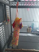 Jaula tejida de bambú colgante para pájaros, accesorios con trituradora de bolas de ratán, Columpio de formayores para loros