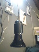 Light-Box Warmer Pet-Heating-Lamp Pets-Turtle Ceramic Infrared Emitter Mini E27 25/50/75/100w