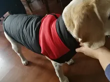 Jacket Puppy-Clothing Dog-Coat Dogs Golden-Retriever Waterproof Winter Pet-Vest Small