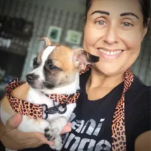 Pet-Accessories Leash-Set Color-Suit Dog-Collar Dogs Leopard Beagle Designe for Pet-Kit