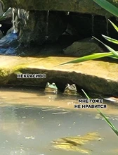 El pulgar de herramientas de jardinería poda tijeras de jardín recogiendo Plantar vegetales dedo separador herramienta multifunción cocina cortador