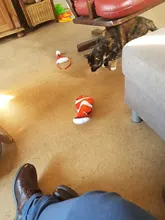 Cats Toy Catnip-Toy Wagging Moving-Floppy Dancing Fish Electronic New 30CM Usb-Charging-Simulation