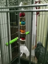 Toys Pet-Supplies Birds Parrot Wooden Ropes Cage-Balls Hanging Chew-Bite Natural Garden-Ornament