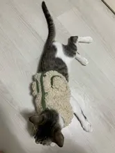 Scarf Jacket Dogs French Bulldog Winter Plush-Coat Pet-Dog Cotton Warm Thick for Puppy-Ropa-Perro