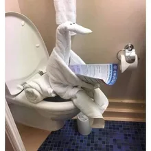 A***N