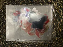 Pegatinas transparentes de PVC de simulación para álbum diario, pegatinas decorativas de animales, mariposas y pájaros, bosque creativo, 30 Uds.
