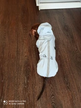 Ropa de perro impermeable de malla transpirable, mono absorbente para el sudor, abrigo reflectante para mascotas, Otoño e Invierno