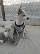 Mono de lana suave para perro, ropa de invierno para perros, pijamas para perros pequeños, trajes para mascotas, ropa con capucha para perros