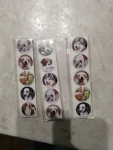 500 Uds lindo Animal perro pegatinas jungla fiesta cumpleaños regalo decoraciones torta etiquetas juguetes de fiesta para niños etiqueta personalidad álbum de recortes 1in