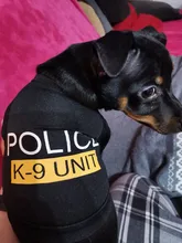 Traje de policía para Cosplay de perros y gatos, chaleco elástico negro, camiseta de cachorro, accesorios, ropa, disfraces