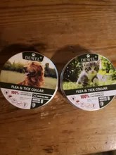 Dewel Collar Antiparasitos Perros/Gatos Contra Pulgas,Garrapatas y Mosquitos,Tamaño Ajustable e Impermeable para Mascota Pequeño Mediano Grandes