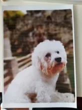 Papel fotográfico brillante A4 3R 4R 5R, 20/100 hojas, resistente al agua, para Papel de impresora de inyección de tinta, estudio fotográfico, fotógrafo, recubierto de Color