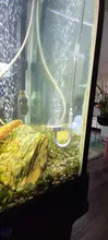 Pulverizador de dióxido de carbono para acuario, sistema difusor, pulverizador de dióxido de carbono para pecera, equipo de CO2 acuático, 70 mm
