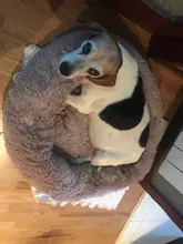 Cama de perro caliente suave y larga de felpa, caseta redonda mullidas de gato, sofá, casa, cojín para dormir cómodo, lavable, para cachorro, Invierno