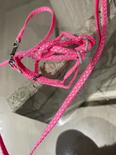 Harness-Vest Walking-Leash Dog Polka-Dot Adjustable Bell Print Cotton For Puppy Cat Pet