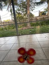 Juguetes Divertidos clásicos para niños, juguetes de dibujos animados para niños, con ventosa, Spinner, sonajero para bebé, juguetes de baño giratorios para niños