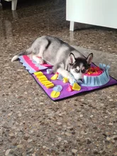 Alfombrilla de entrenamiento para perros y mascotas, manta de olfting, almohadillas de lana desmontables, esterilla para perros, alivia el estrés, rompecabezas, juguete para mascotas, almohadilla para la nariz