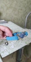 Collar de gato con campana para gatos, cachorros, collares correas para gatos, perros, Chihuahua, Gato, correas, suministros de plomo para mascotas