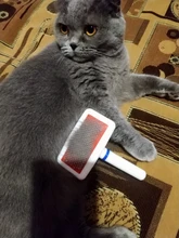 Peine de aguja de acero para perros y gatos, cepillo de limpieza, rastrillo, herramientas de masaje, accesorios para mascotas