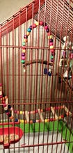 Swing-Toy Beads Bird-Supplies Parrots Pets Wooden Perch Hanging Natural for 1PC Colorful