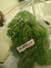 15cm modelo árbol bosque plantas haciendo accesorios HO escala tren ferrocarril paisaje Diorama o disposición, paquete de 5