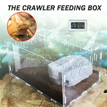 Transparent Reptile Terrarium Reptile Pets Climb The Box Home Decoration Portable Practical Insect Cold Blooded Animals
Transparent Reptile Terrarium Reptile Pets Climb The Box Home Decoration Portable Practical Insect Cold Blooded Animals