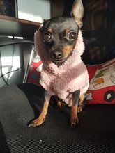 Jacket Clothing Puppy-Clothes Pet-Cat-Costume Dogs Soft-Fleece Chihuahua Winter For Yorkshire