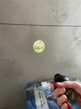 Dibujo de dinosaurio proyectores de juguete para niños, linterna, proyector, juguetes educativos para dormir