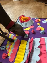 Alfombrilla de entrenamiento para perros y mascotas, manta de olfting, almohadillas de lana desmontables, esterilla para perros, alivia el estrés, rompecabezas, juguete para mascotas, almohadilla para la nariz