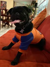 Ropa para mascotas para perros pequeños, suéter cálido, disfraz de Chihuahua, camisetas de invierno, suministros para mascotas