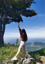 HOUZHOU camisas a cuadros mujeres linterna manga Cardigan Vintage rosa cuadros blusa bonita moda abotonada Oversize