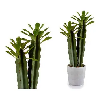 Cactus Green Plastic Cactus (12 x 44 x 18 cm) 
Cactus Green Plastic Cactus (12 x 44 x 18 cm)