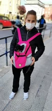 Doble hombro portátil de viaje mochila al aire libre bolsa de transporte perro mascota frente perro bolsa de malla de mochila de la cabeza, suministros para mascotas