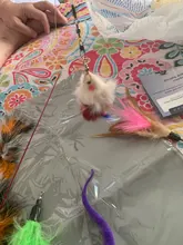 Cute Cat Wands Mouse Replacement-Head Cat-Scratcher-Toys Interactive Kitten 5pcs