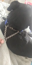 Collar de Color mejorado de alta calidad para perros grandes, Pastor Alemán, cadena P, ajustable, para perros medianos y grandes