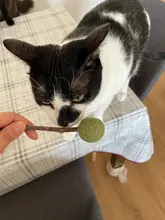 Productos para mascotas Gato juguetes hierba gatera Natural Lollipop forma mascotas Molar dientes juguete del gato Navidad Año nuevo regalo